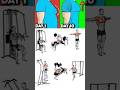 Chest Exercise #gym #chest #seniors #shorts #workout #exercise #viral