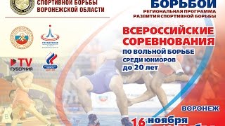 Всероссийские соревнования по вольной борьбе среди юниоров 18.11.16. КОВЕР А