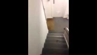 VID 20130224 WA0004