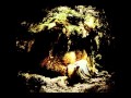 Wolves in the throne room  thuja magus imperium