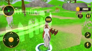 Wild Horse Family Survival Sim Games|| Android Gameplay🎯 screenshot 3