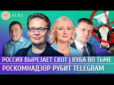 YouTube видео