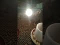 نعمل حسابنا بقى على دوره حلوه كده بلدي عشان رمضان كل سنه وانتم طيبين يا دوبك عشان ناخد وزن حلو