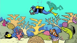 Two Minutes on Oceans: Green Fins for a Blue Planet (Korean subtitles)