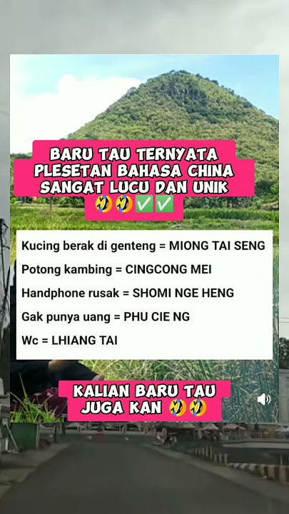 baru tau ternyata plesetan bahasa china sangat lucu dan bikin ngakak #shorts