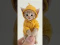 歌う可愛い子猫ちゃん💕#ai変身 #cutecat