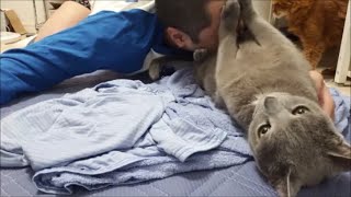 愛