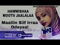 Hawwishaa mootii jaalalaa maaliin siif irraa odeysa new oromo music 2022