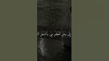 #آية #اجر #قرآن #لايك #اكسبلور #راحة_نفسية #تيك_توك #تلاوة_خاشعة #تلاوات #تلاوة_هادئة #شريف_مصطفى