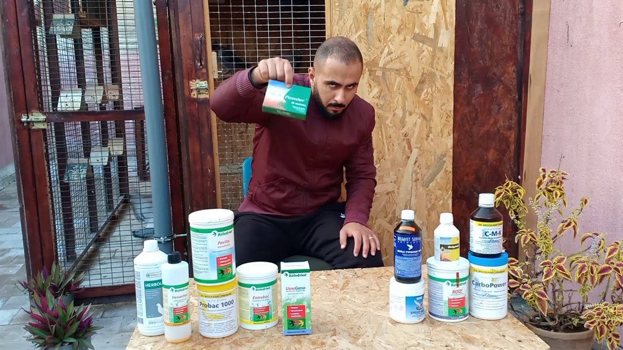 برنامج مسابقات السرعة الجزء الأول