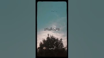 وَهُوَ الَّذِي يَقْبَلُ التَّوْبَةَ عَنْ عِبَادِهِ || سورة الشورى || علي جابر