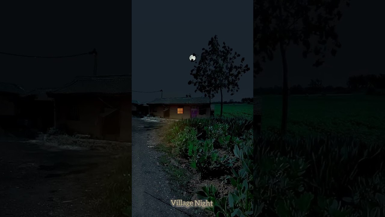 "Embracing The Tranquility of Village Night" ,