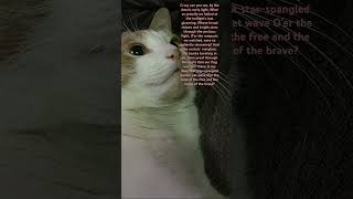 Lol Andy Is Looking At The Words