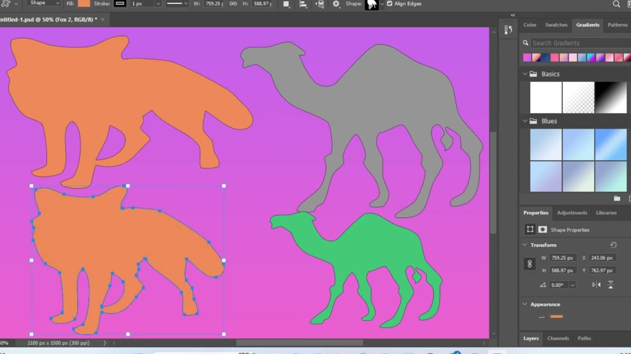 Learn Shape Tools from Scratch in Adobe Photoshop