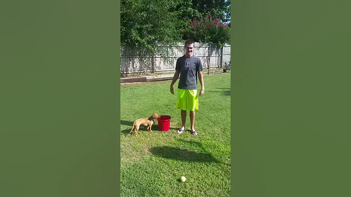 Brandon Troutman Ice Bucket Challenge