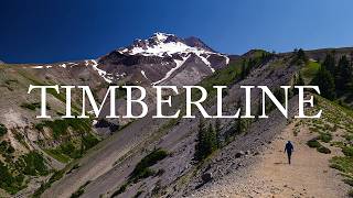 Hiking 40 miles solo on Timberline Trail in 2 days