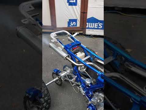 banshee 421 cheetah