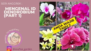 (PART-1) ANDA WAJIB TAHU !!  Nama ID Dendrobium koleksi !