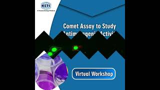 Comet Assay to Study Antimutagenic Activity of Different Compounds #comet #cometassay #workshop
