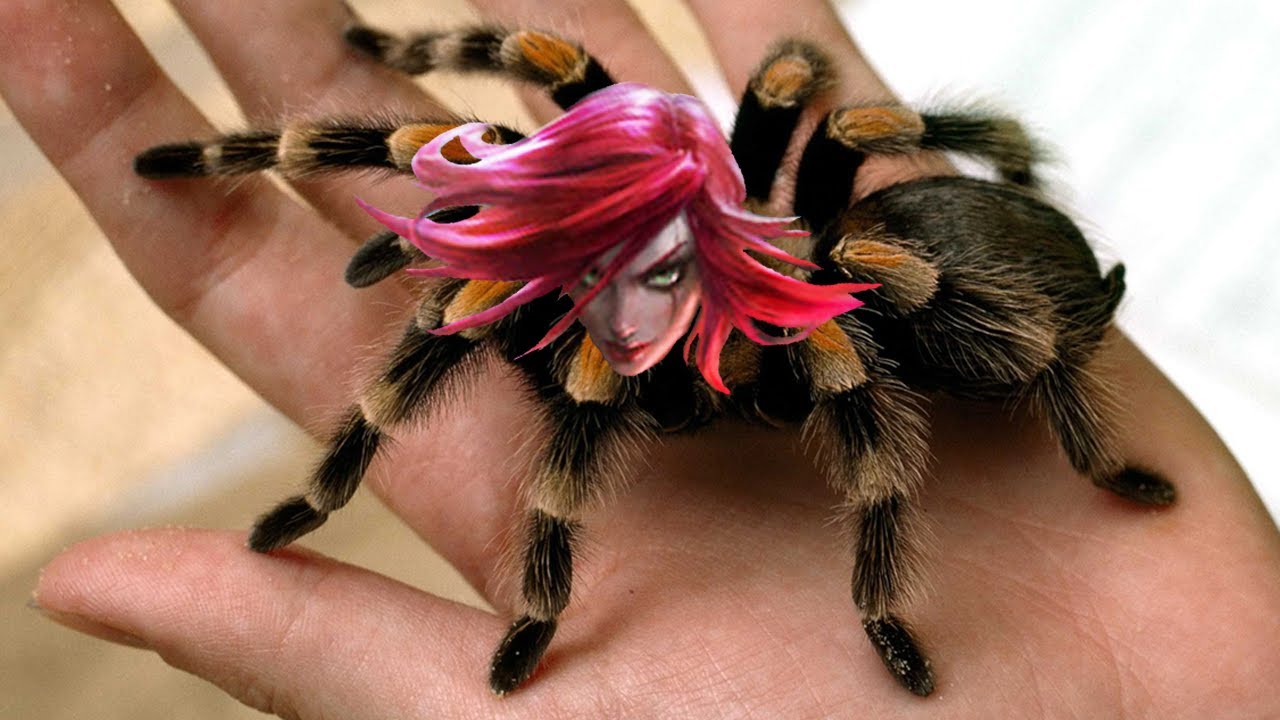 katarantula