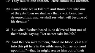 genesis 37:3-4, 12-13a, 17b-28a