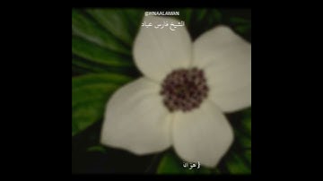 تلاوه خاشعه ب صوت الشيخ فارس عباد  ، أواخر سورة الحشر  ، حالات واتس اب
