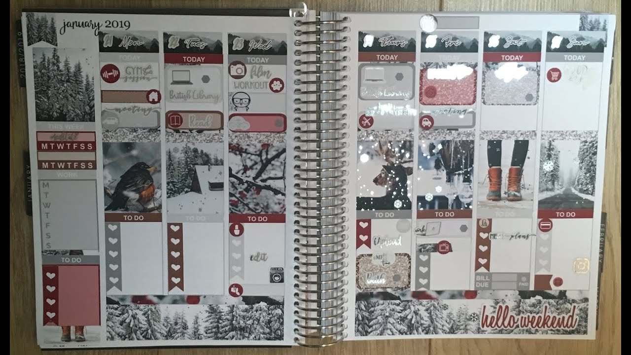 Plan With Me ft. Dash of Sun Designs-Winter Cabin