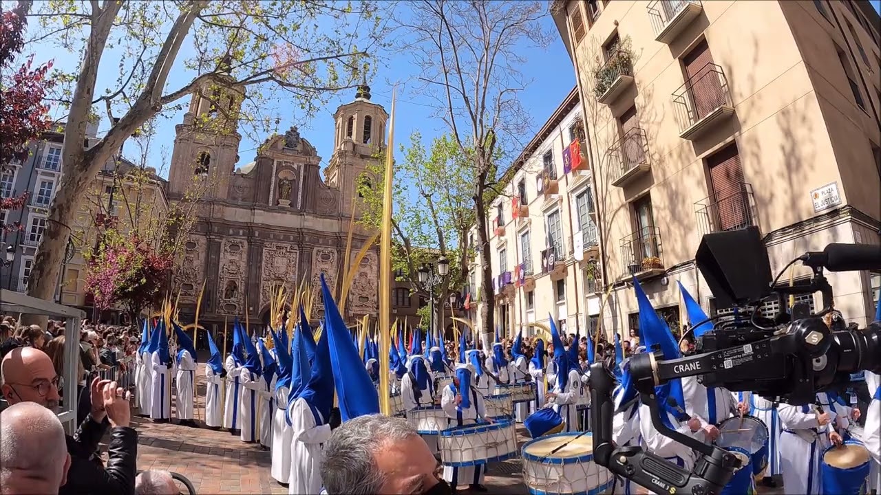 Semana Santa Zaragoza 2022. Procesión de Domingo de Ramos. Cofradía Entrada de Jesús en Jerusalén