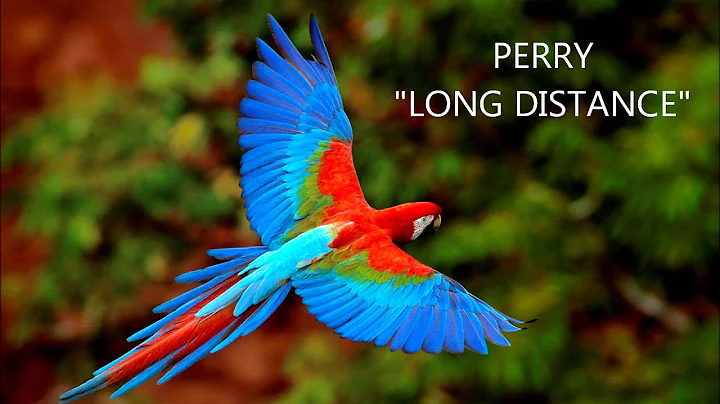 PERRY "LONG DISTANCE"