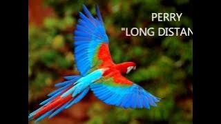 PERRY 'LONG DISTANCE'