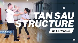 Tan Sau Fundamentals For Wing Chun Kung Fu Structure