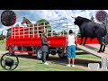 Animal Cargo Truck Driving Game 3D - Animal Transport Cargo Truck 2024 - Andriod Gameplay