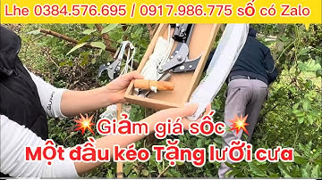 💥MUA 1.TẶNG 1 .  ĐẦU KÉO CẮT TỈA CÀNH TRÊN CAO TIẸN LỢI-TÉT TRỰC TIẾP ĐỘ BÉN VÀ NGON💥 