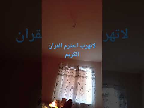 ٨ يونيو ٢٠٢٤