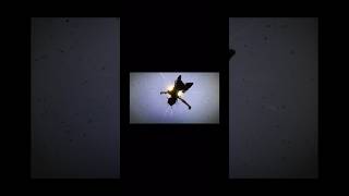 Loli Madnessflip Flappers