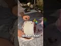 JANGAN TERLALU PERCAYA BELANJA ONLINE #videoviral #ngakak #ulangtahun