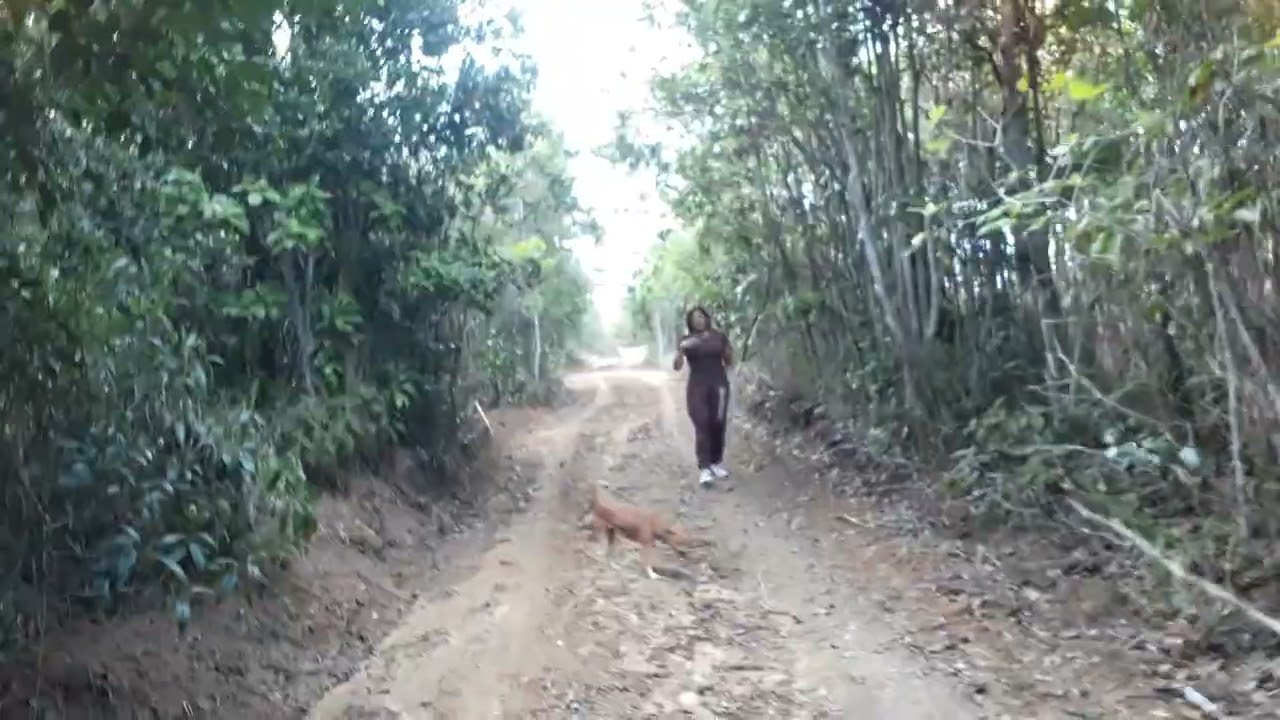 @ENTRANDO DE MATA A DENTRO NO SÍTIO.  