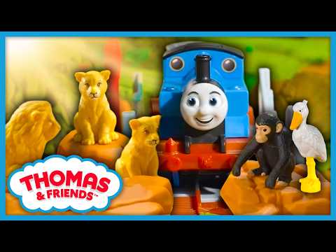 ¡Percy está solo en la selva... y aparecen los leones! 🦁 | Thomas y sus amigos: ¡Cuidado, Thomas!
