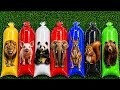 ITALIAN BRAINROT: Tung Tung Tung Sahur, Tralalero Tralala, Bombardino, Ballerina, brrpatapim Part #1