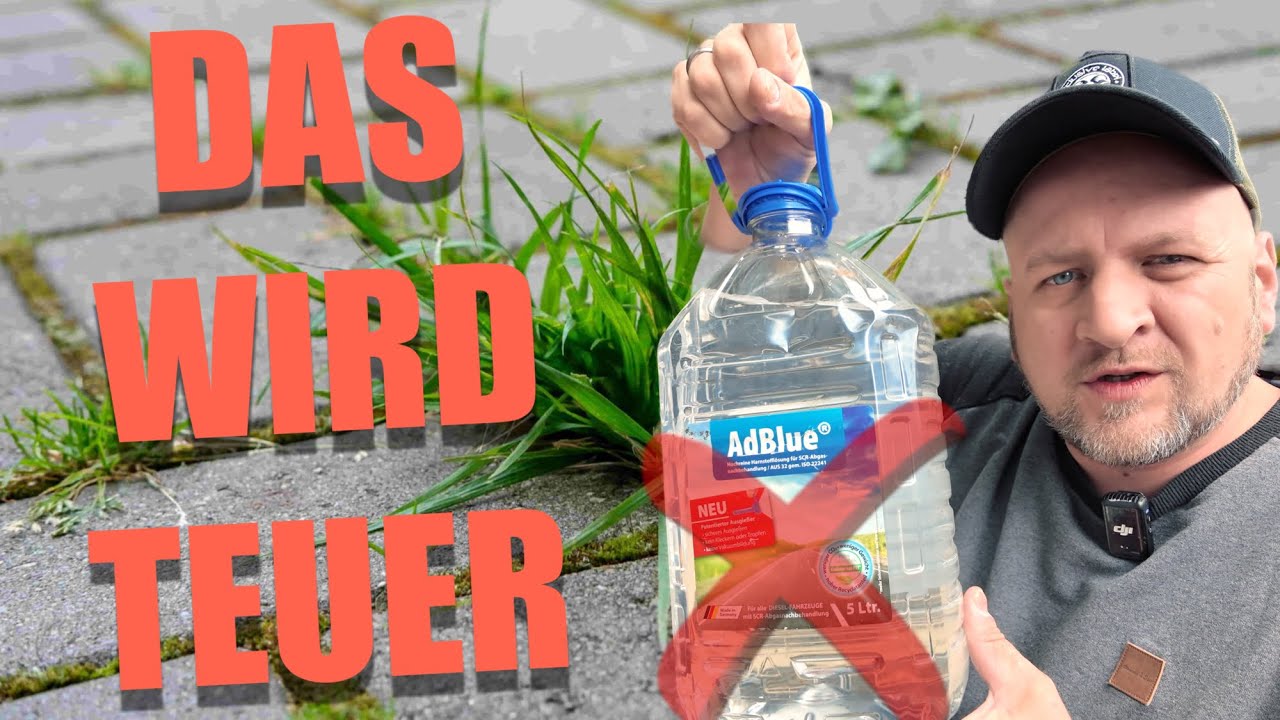 grüne dünger Universal Gemüsegarten Dünger für maximalen Ertrag main image 0