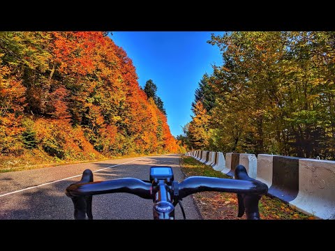 შაორი, რაჭა - 20,10,2017