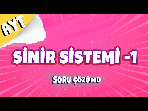 Sinir Sistemi -1 Soru Çözümü | 2022 #hedefekoş