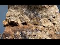 Rock Hounding ⚡️ Fossils, Crystals, & Dinosaur Tracks in Texas Hill Country