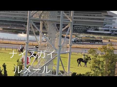 『ヘイおめでとう』マイルCS優勝藤岡康太Ｊを祝福するルメールがカッコイイ向正面から