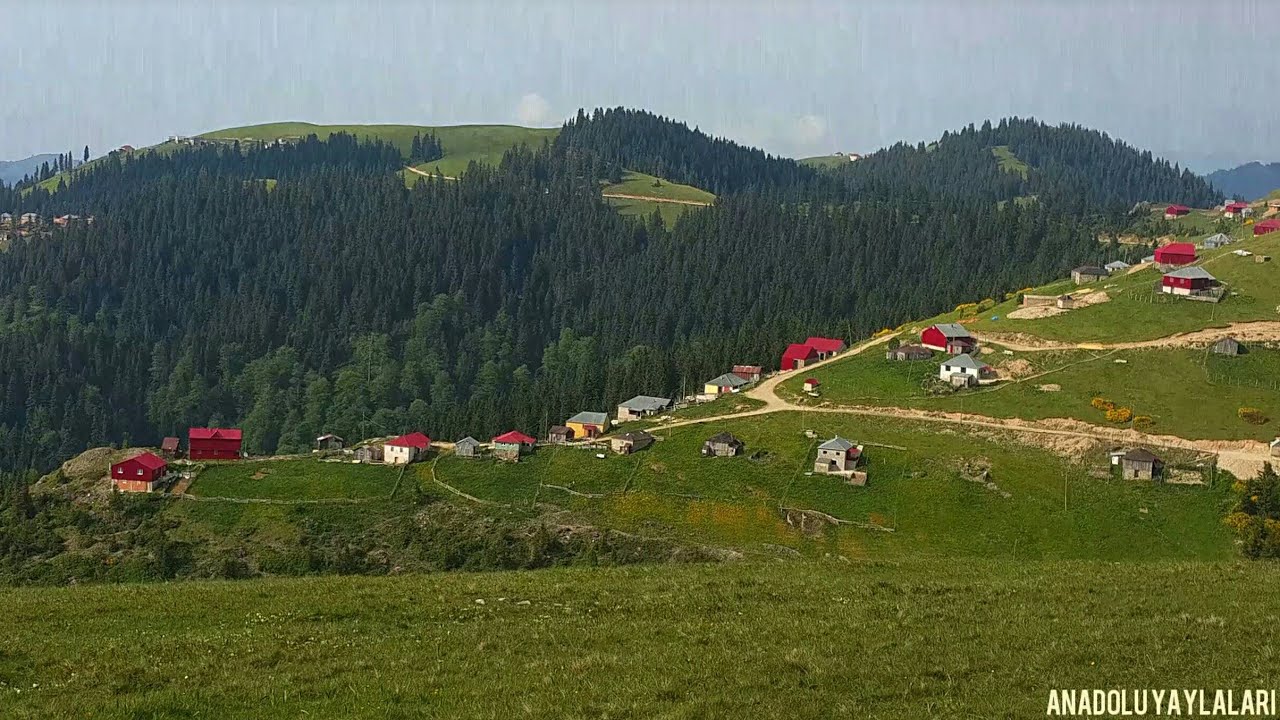 Alaca yaylası ○ Şalpazarı ○ Trabzon yaylaları