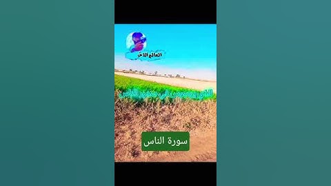 حصن نفسك ب #سورة_الناس #الرحمن #المصحف #القزابري  #اكسبلور #ترند #لايك #دويتو #تيك_توك