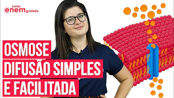Quais são os tipos de transportes passivos e os ativos?