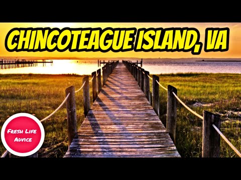 10 THINGS TO DO IN CHINCOTEAGUE ISLAND, VIRGINIA