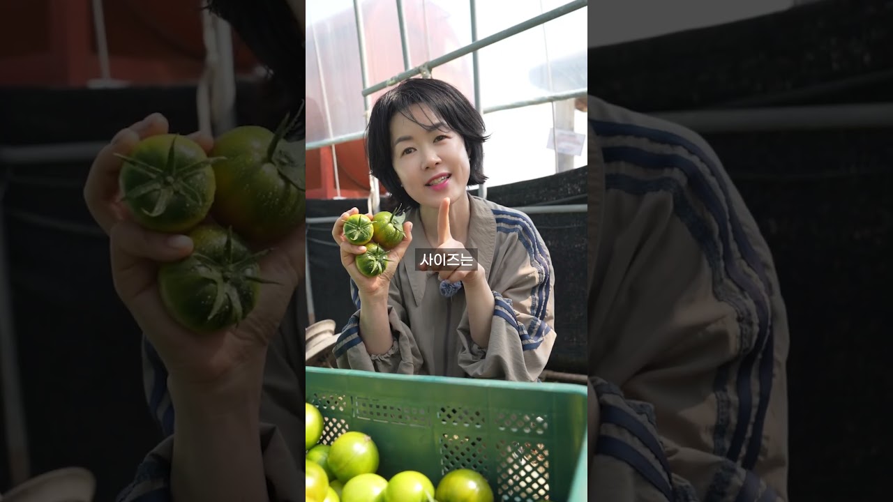 공구형 릴스