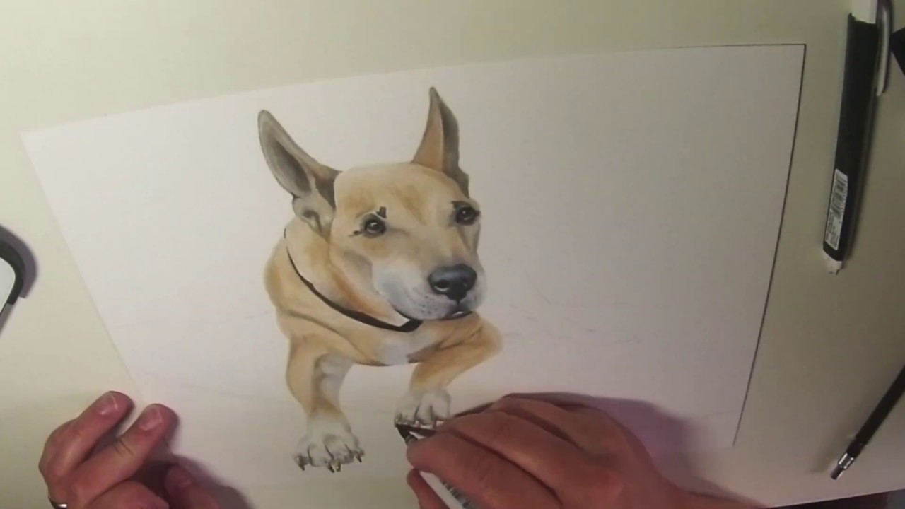 Drawing a Dog with Copic Markers - Timelapse - YouTube